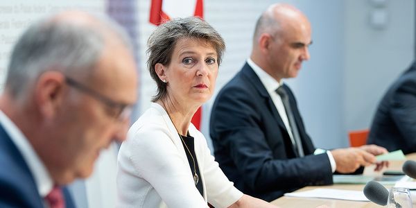 Bundesrat will mehr Macht - Artikel - plaedoyer.ch